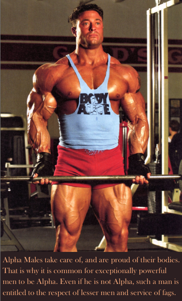 KDY
Alpha Males take care of, and are proud of their bodies. That is why it is common for exceptionally powerful men to be Alpha. Even if he is not Alpha, such a man is entitled to the respect of lesser men and service of fags.