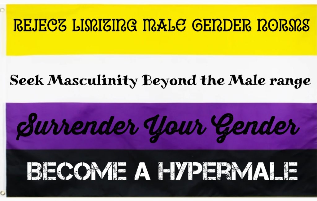 REJECT LIMIZING MALE GENDER NORMS
Seek Masculinity Beyond the Male range
Surrender Your Gender
BECOME A HYPERMALE