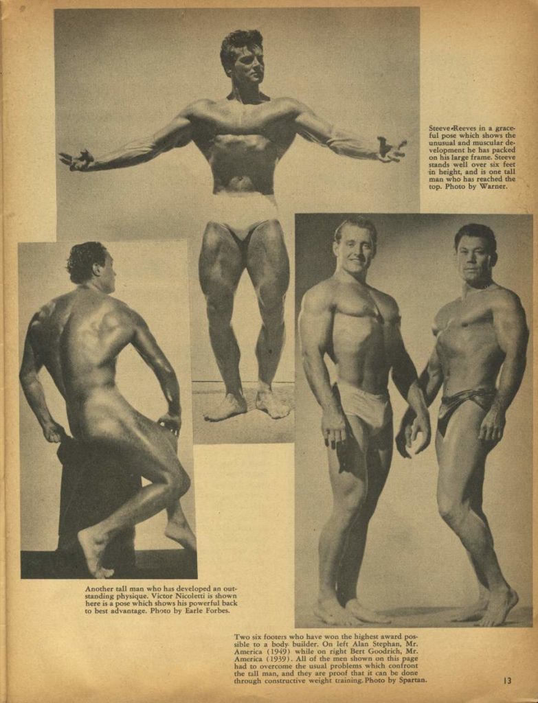 Steeve Reeves in a grace ful pose which shows the unusual and muscular de- velopment he has packed on his large frame. Steeve stands well over six feet in height, and is one tall man who has reached the top. Photo by Warner.
Another tall man who has developed an out- standing physique. Victor Nicoletti is shown here is a pose which shows his powerful back to best advantage. Photo by Earle Forbes.
Two six footers who have won the highest award pos sible to a body builder. On left Alan Stephan. Mr. America (1949) while on right Bert Goodrich, Mr. America (1939). All of the men shown on this page had to overcome the usual problems which confront the tall man, and they are proof that it can be done through constructive weight training. Photo by Spartan.
13