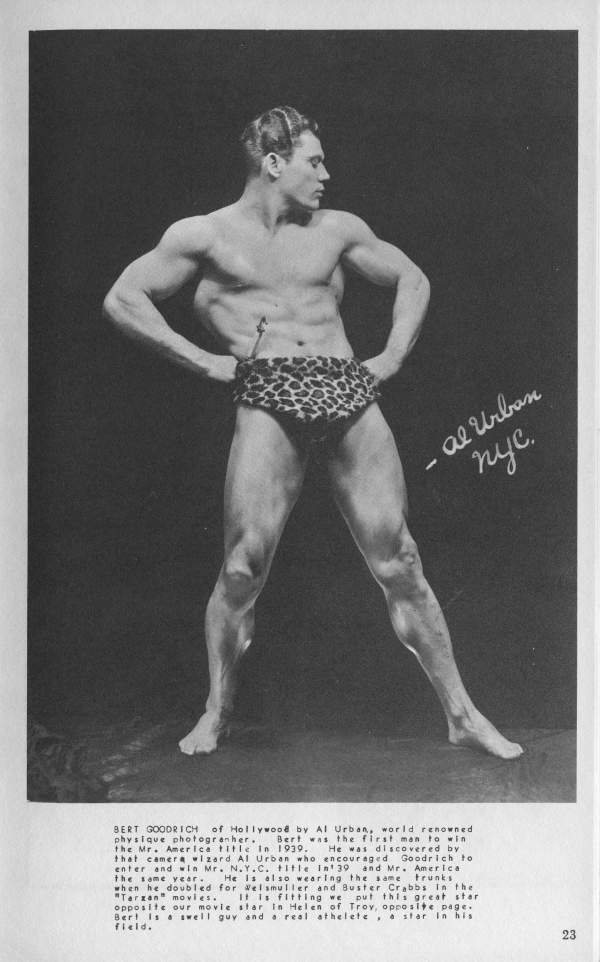 al Urban nyc.
BERT GOODRICH of Hollywood by Al Urban, world renowned physique photogranher.) Bert was the first man to win the Mr. Americe title In 1939. He was discovered by that camera wizard Al Urban who encouraged Goodrich to enter and win Mr. N.Y.C. title In 39 and Mr. America the same year. He is also wearing the same trunks when he doubled for Welsmuller and Buster Crabbs In the "Tarzan" movies. It is fitting we put this great star opposite our movie star in Helen of Troy, opposite page. Bert is a swell guy and a real athelete, a star in his field.
23