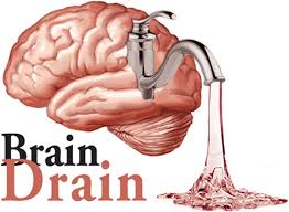 Brain. Drain