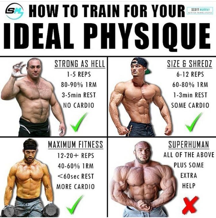 SCOTT MURRAY
SHOW TO TRAIN FOR YOUR IDEAL PHYSIQUE
STRONG AS HELL
1-5 REPS
80-90% 1RM 3-5min REST NO CARDIO
SIZE & SHREDZ
6-12 REPS
60-80% 1RM 1-3min REST SOME CARDIO
MAXIMUM FITNESS
12-20+ REPS
40-60% 1RM
<60sec REST
MORE CARDIO
SUPERHUMAN
ALL OF THE ABOVE PLUS SOME EXTRA HELP