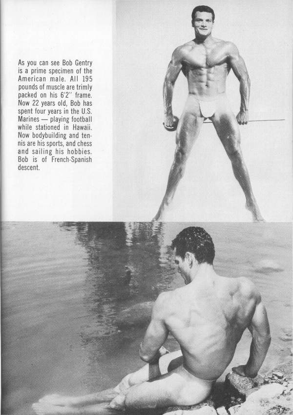 As you can see Bob Gentry is a prime specimen of the American male. All 195 pounds of muscle are trimly packed on his 6'2" frame. Now 22 years old, Bob has spent four years in the U.S. Marines playing football while stationed in Hawaii. Now bodybuilding and ten- nis are his sports, and chess and sailing his hobbies. Bob is of French-Spanish descent.