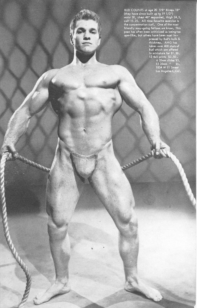 BUD COUNTS at age 20 5'8" Biceps 18" (they have since built up to 19 1/2") waist 30, chest 48" expanded, thigh 24,5, call 15.25. All time favorite exercise is the concentration curl. One of the most friendly easy-going fellows we know. This pose has often been criticized on being too ope-like, but others have been most im- pressed by Bud's bulk & thickness. AMG has taken over 400 shots of Bud which are offered In miniature for $1.30. 12 4x5 prints $2.50. 6.35mm slides $3. 12 35mm* $5. 1834 W 11 Street Los Angeles 6, Cal.
