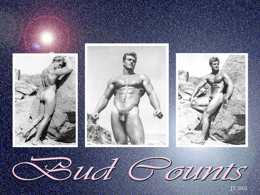 Bud Counts wallpaper by JT from 2002