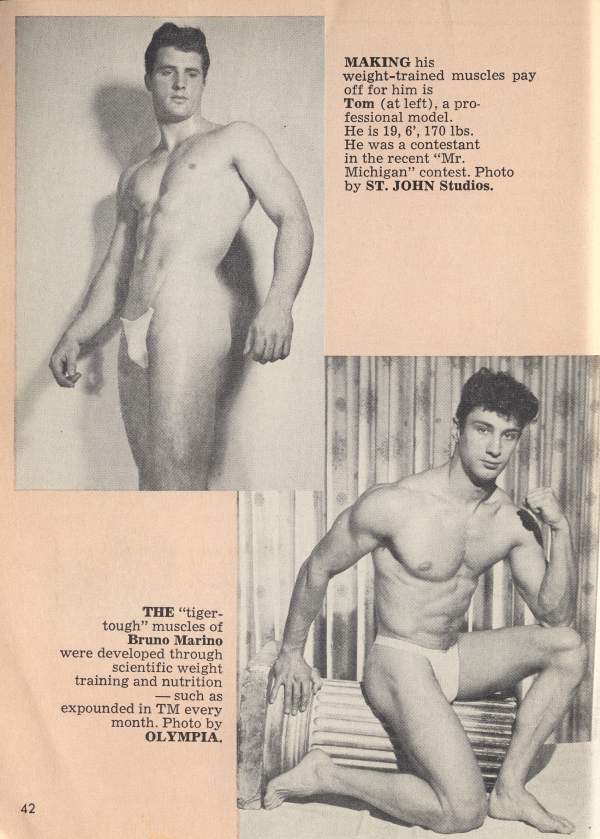 MAKING his
weight-trained muscles pay off for him is Tom (at left), a pro- fessional model." He is 19, 6', 170 lbs. He was a contestant in the recent "Mr. Michigan" contest. Photo by ST. JOHN Studios.
THE "tiger-
tough" muscles of
Bruno Marino were developed through scientific weight training and nutrition such as expounded in TM every month. Photo by OLYMPIA.
42