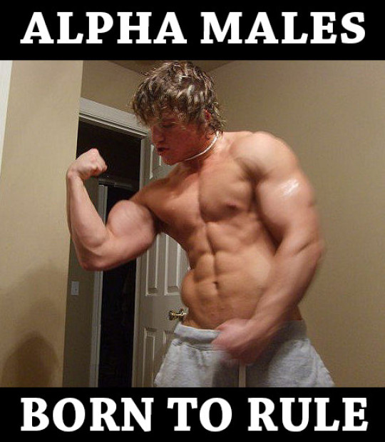 Alpha Males: Born to Rule.