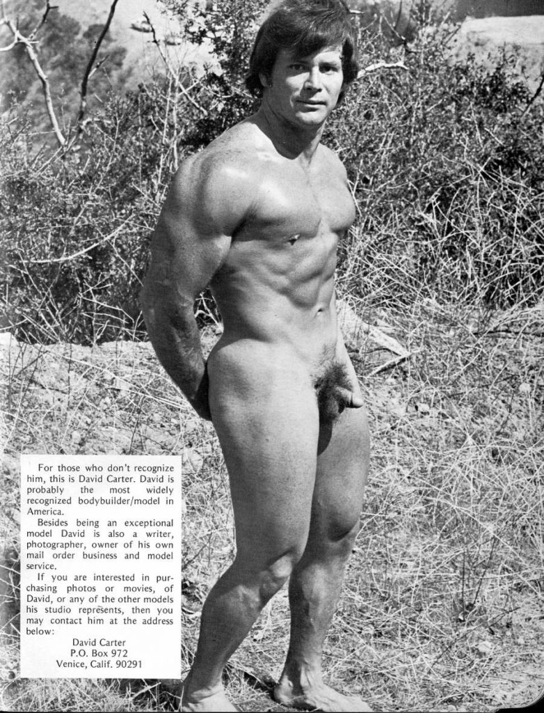 For those who don't recognize him, this is David Carter. David is probably the most widely recognized bodybuilder/model in America.
Besides being an exceptional model David is also a writer, photographer, owner of his own mail order business and model service.
If you are interested in pur- chasing photos or movies, of David, or any of the other models his studio represents, then you may contact him at the address below:
David Carter P.O. Box 972
Venice, Calif. 90291