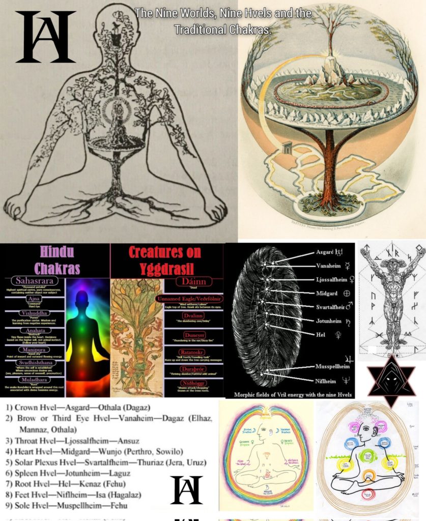 The Nine Worlds, Nine Hvels and the Traditional Chakras.
Hindu Chakras
Sahasrara
Aina
Vishuddha
Anahata
Manipura
Svadhishthana
Muladhara
Creatures on Yggdrasil
Dáinn
amed Eagle/Vedrfölnı
Midgard
Svartalfheir
Jotunheim
Hel
Dunes
24
-Musspellheim
Durabene
Asgard
Vanaheim
Ljossalfheim
Niflheim
1) Crown Hvel-Asgard-Othala (Dagaz)
2) Brow or Third Eye Hvel-Vanaheim-Dagaz (Elhaz, Mannaz, Othala)
3) Throat Hvel-Ljossalfheim-Ansuz
4) Heart Hvel-Midgard-Wunjo (Perthro, Sowilo)
5) Solar Plexus Hvel-Svartalfheim-Thuriaz (Jera, Uruz)
6) Spleen Hvel-Jotunheim-Laguz
7) Root Hvel-Hel-Kenaz (Fehu)
8) Feet Hvel-Niflheim-Isa (Hagalaz)
9) Sole Hvel-Muspellheim-Fehu
22
Morphic fields of Vril energy with the nine Hvels