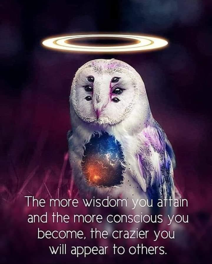 The more wisdom you attain and the more conscious you become, the crazier you will appear to others.