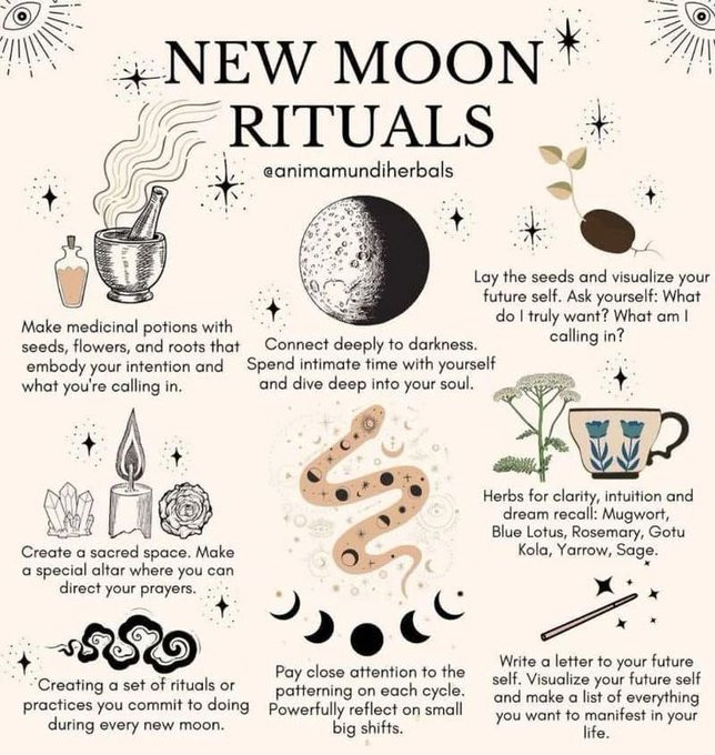 NEW MOON RITUALS
*
@animamundiherbals
Make medicinal potions with seeds, flowers, and roots that embody your intention and what you're calling in.
Connect deeply to darkness. Spend intimate time with yourself and dive deep into your soul.
Lay the seeds and visualize your future self. Ask yourself: What do I truly want? What am I calling in?
Create a sacred space. Make a special altar where you can direct your prayers.
Herbs for clarity, intuition and dream recall: Mugwort, Blue Lotus, Rosemary, Gotu Kola, Yarrow, Sage.
+
Creating a set of rituals or practices you commit to doing during every new moon.
Pay close attention to the patterning on each cycle. Powerfully reflect on small big shifts.
Write a letter to your future self. Visualize your future self and make a list of everything you want to manifest in your life.
