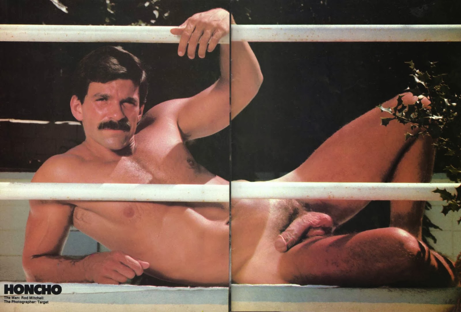 Rod Mitchell by Target - Collectors Realm 3